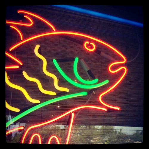 September 28: Neon fish