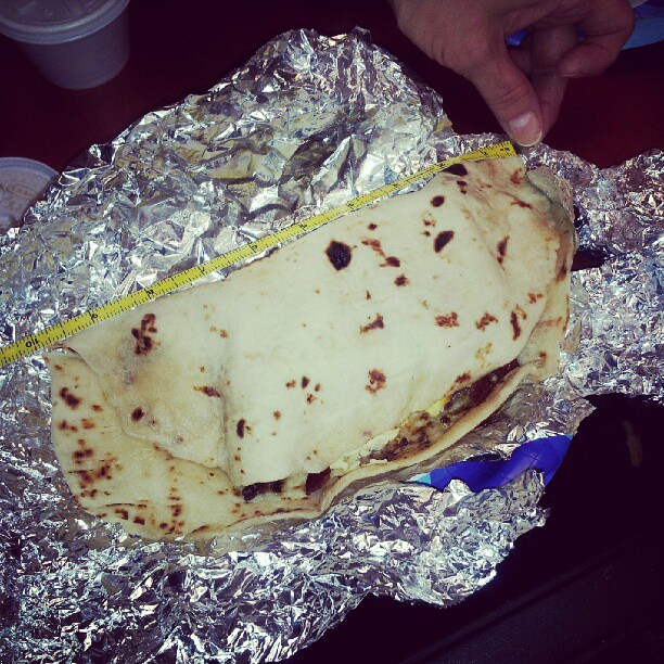 Coworker brought me a 10 inch breakfast taco.