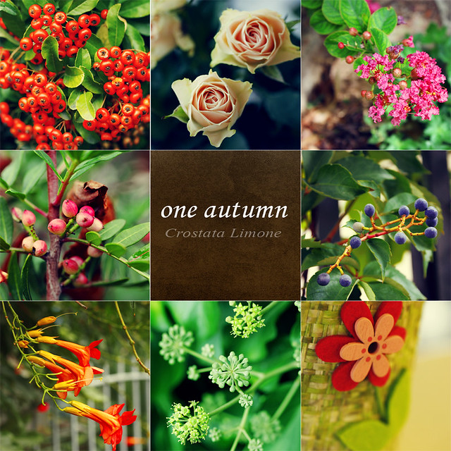 one autumn