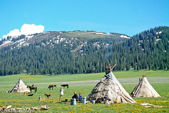 Kazakh Ethnic Group : 2000 - 2006