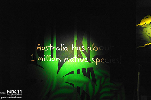 WILD LIFE Sydney Zoo entrance