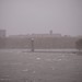 Roosevelt Island hit by Sandy