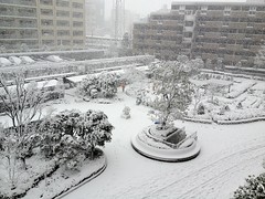2013年1月14日 東京は初雪 (東京都豊島区)