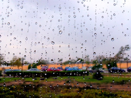 Rain by TamanM
