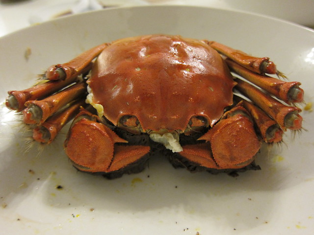 Hong Kong Hairy Crabs