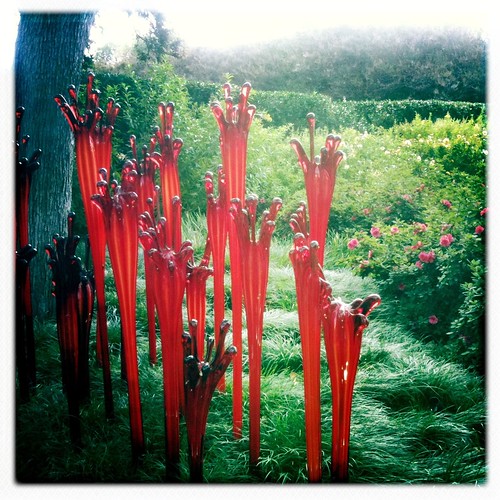 Chihuly at the Dallas arboretum