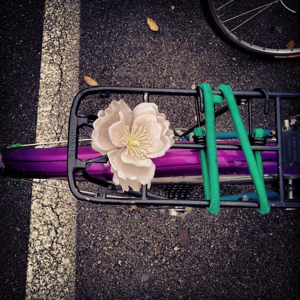 Bicycle back rack in #zurich #cyclechic #bike
