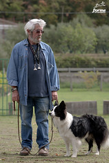 Stage Sheepdog with Graeme Sims