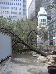 Aftermath of Sandy