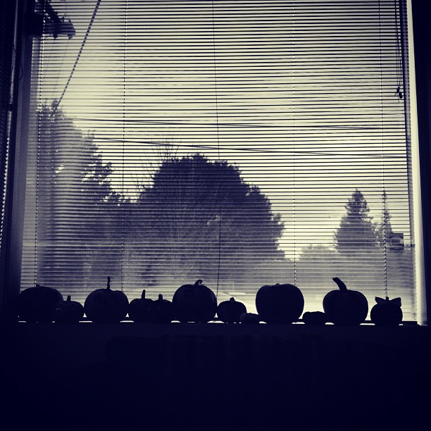 The @poshmark pumpkin patch #halloween #pumpkin #silhouette #blackandwhite #spooky #pumpkins #inthewindow #instadaily