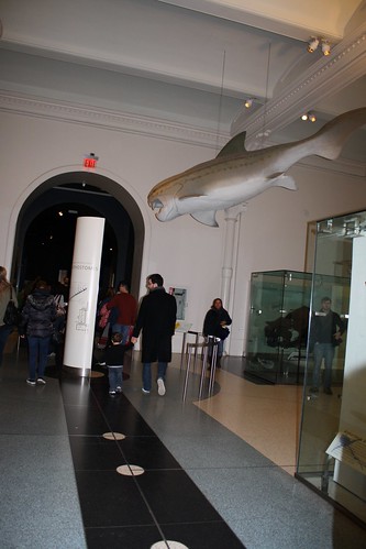 American Natural History Museum 2013