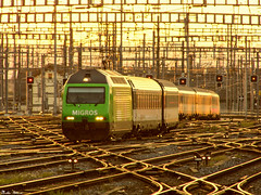Trains - SBB CFF FFS Re 460