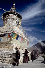 Tibetan Ethnic Group : 2000 - 2006
