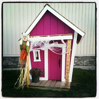 Lola & Sophie want this #dog house! #dogstagram #love #doghouse #halloween #fall #newhampshire