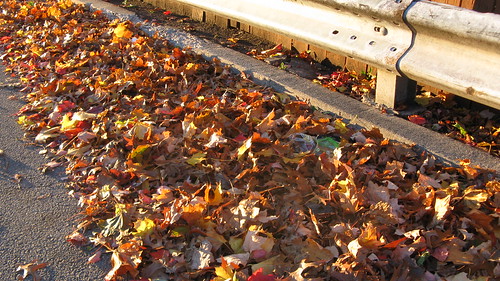 Fallen autum leaves in a local alley.  Elmwood Park Illinois.  Late October 2012. by Eddie from Chicago