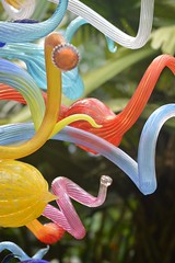 Chihuly at Fairchild Garden