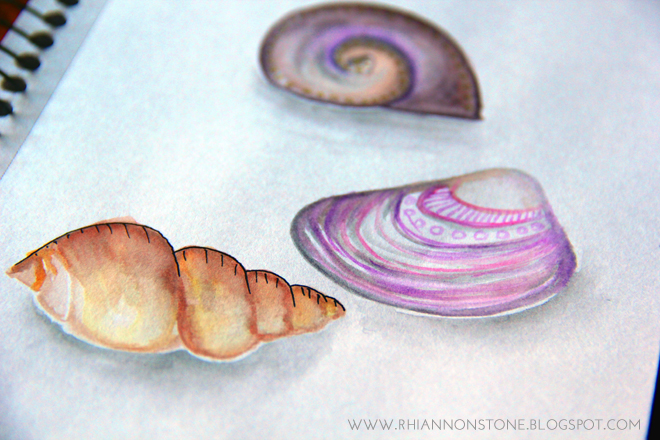 Watercolour Shells