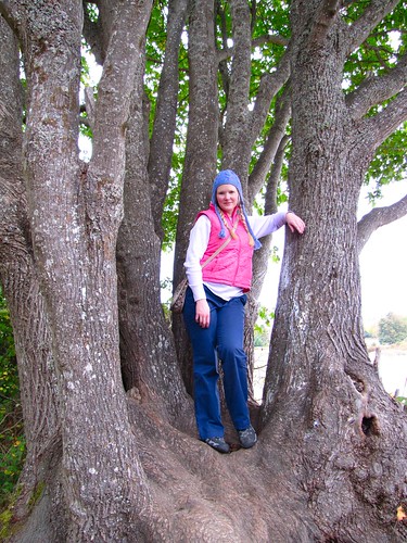 Liz in the Glitter Tree