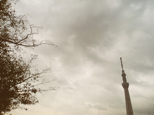 Tokyo Skytree with Leaves