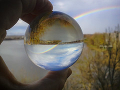 Looking into my Crystal Ball