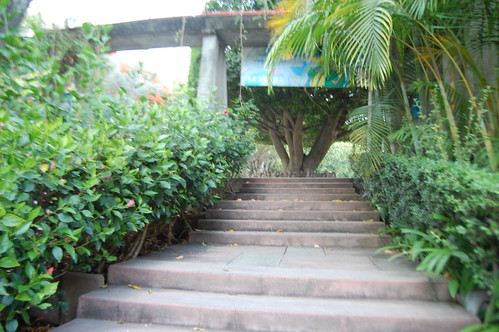 Escaleras Ixtapan