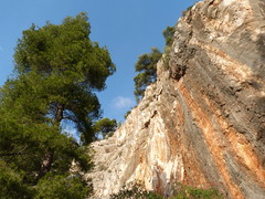 Toulon Last trek 2012 