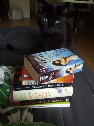 A black cat behind a pile of books on a couch. Books from top to bottom are 'Kushiëls Dart by Jacqueline Carey, Game of Thrones by George R.R. Martin, The Hobbit by J.R.R. Tolkien, Practical magic by Alice Hoffman, Vaslav by Arthur Japin, Twelve Wild Swans by Starhawk and Hilary Valentine and The topping book by Dossie Easton and Janet W. Hardy.