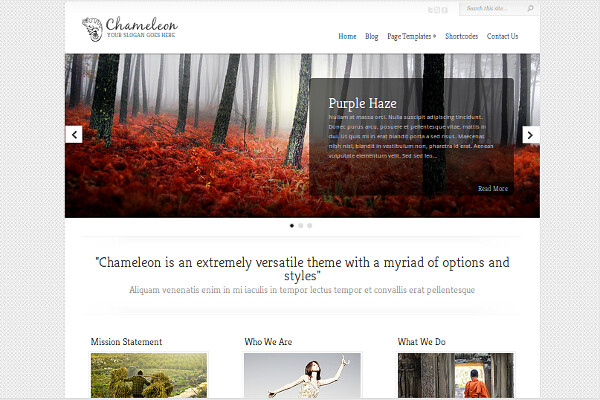Chameleon Responsive Business WordPress Theme