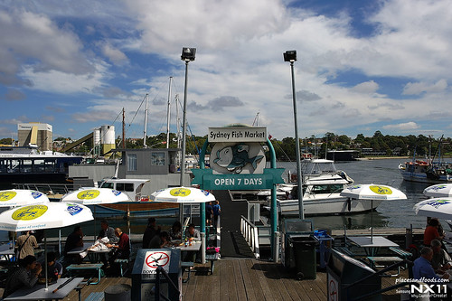 sydney fish market port