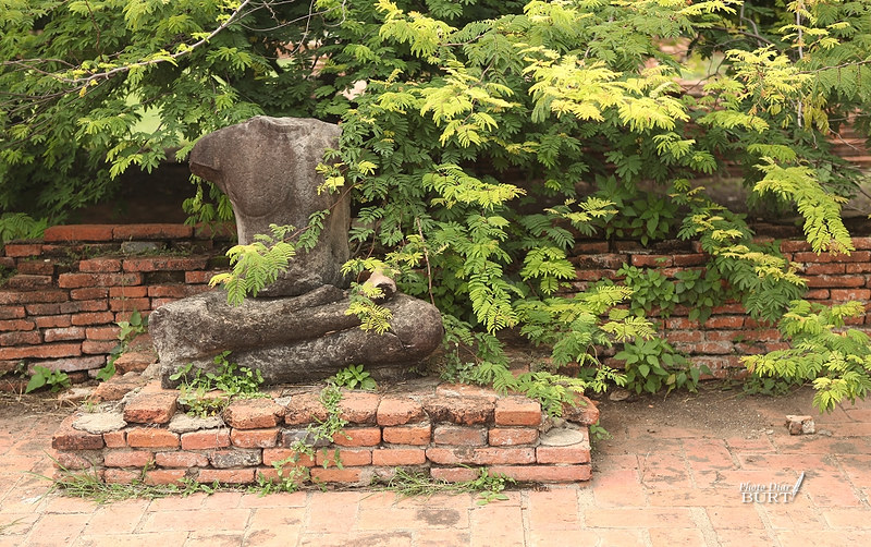 瑪哈泰寺殘存的石刻像