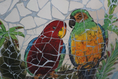parrot mosaic