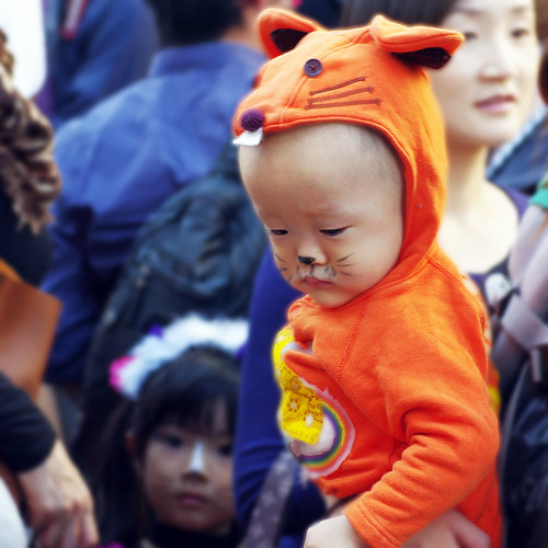 Kagurazaka Cat Halloween 2012-11