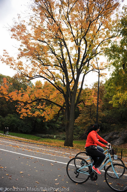 Central Park in Fall-9