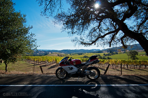 Weekend solo run - Wine Country by Speedy Chung