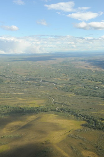 Central plains, rivers, tundra, trees, blue sky, near Fairbanks, Alaska, USA by Wonderlane