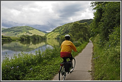Mosel River Bicycle Tour