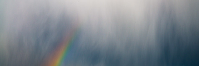 Rainbow (2 of 4)