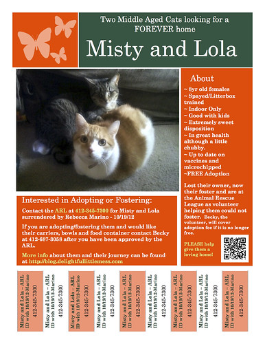 Misty and Lola Flyer copy