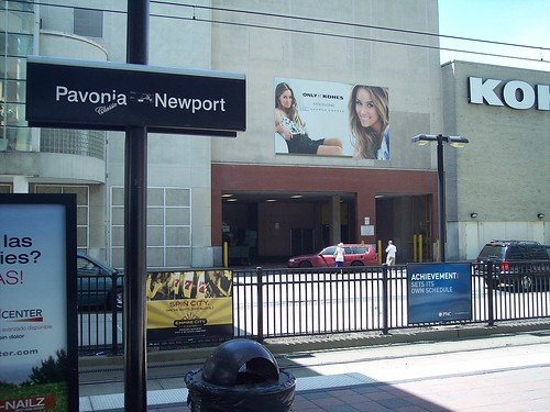 Pavonia - Newport