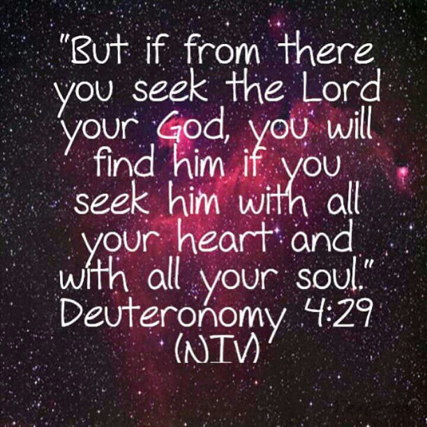 Those Who Earnestly Seek Him