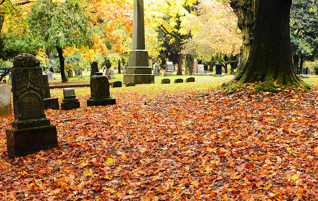 Headstone among the leaves