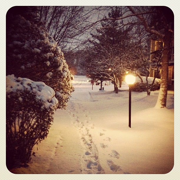 It's a winter wonderland out there!