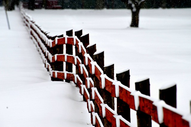 Winter Fence 2