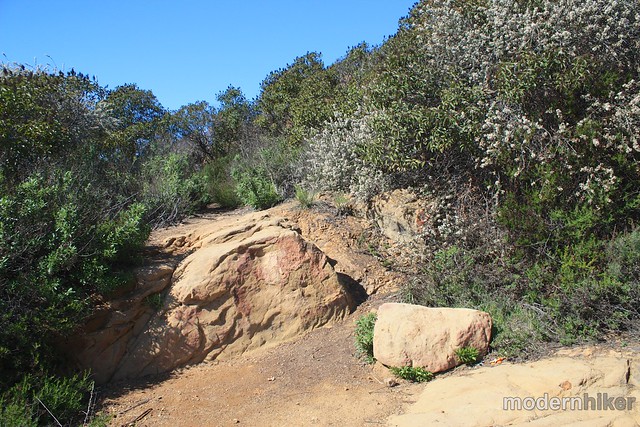 Temescal Canyon to Skull Rock 30