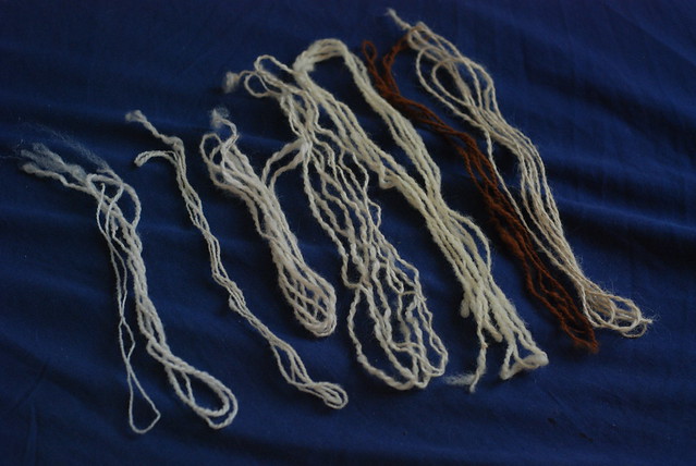 Alpaca and wool yarn samples combed prep from fleece
