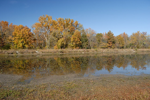 Shaw Nature Reserve (the Arboretum), in Gray Summit, Missouri, USA - lake