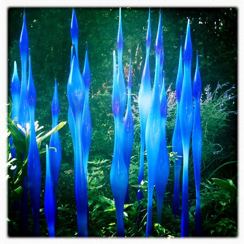Chihuly at the Dallas arboretum