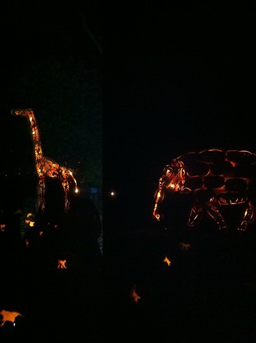 Blaze - giraffe and elephant