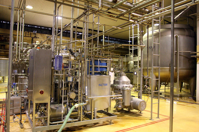 The processing plant pasteurises and homogenises the fresh milk