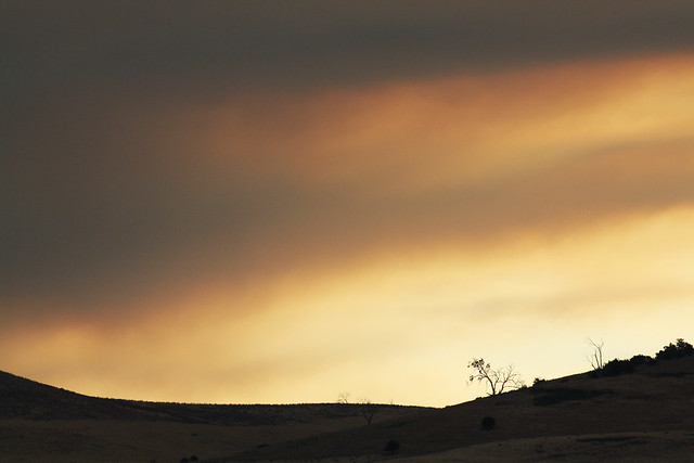 Bushfire Sky 058